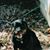 James Troyer's profile image
