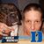 Deb West's profile image