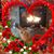Dawn Gillish's profile image