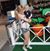 Cathy Glendenning's profile image