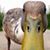 Randall Stanhope's profile image