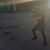 Andrew Saint Pham's profile image