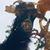 David Ansonoff's profile image
