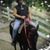 Kathryn Kay Cremeans's profile image