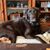 Patti Blue Brenneman's profile image