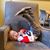 Jeni Charlotte Stansbury-Clark's profile image