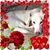 Rick Jacobs's profile image