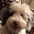 Shirley Newhart's profile image