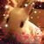 Charlotte Kilpatrick's profile image