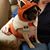 Bev Kruger's profile image