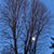 Debra Jo Thiele VanderWerff - Boneham's profile image