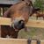 Michelle Burlew Sydlosky's profile image