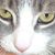 Penny Moore's profile image