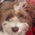 Kim Struntz's profile image