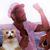 Kiel Krause's profile image