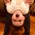 Melissa Holmwood's profile image