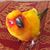 Brian Edwards's profile image