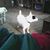 Nancy White's profile image