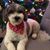Angelique Waldorff's profile image