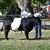 Jacqui Duran's profile image