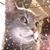 Christie Catlady Norton's profile image