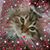 Jodi Jaynes's profile image