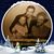 Marcus E. Carroll's profile image