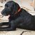 Allison Grant Zerr's profile image