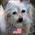 Pat Brackbill's profile image