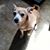 Susan Gerace Bishoff's profile image