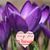 Nancy Cooksey's profile image