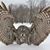 Mary Wessely's profile image