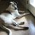 Cindy Forse's profile image