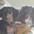 Melinda Bodenhamer's profile image