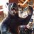 Jack Morris's profile image