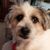 Loy Schuelke Gilbert's profile image