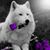 Ronda Loper's profile image