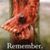 Renee Scott's profile image