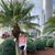 Emily Yasgar's profile image