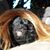 Quin A. Boreen's profile image