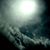 F Gwenyth Mabry's profile image