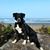Andrew R Musick's profile image
