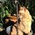 Sharon Stokes's profile image