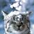 Becky Cordell's profile image