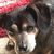 Judy O'Dell's profile image