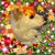 Mary Johnson's profile image