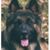 Glo Kramer's profile image
