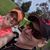 Chasity L. Cline-Covington's profile image