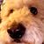 Amy Fuller Palmatier's profile image