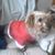 Derek L Hart's profile image
